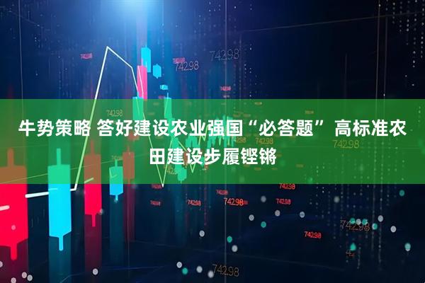 牛势策略 答好建设农业强国“必答题” 高标准农田建设步履铿锵