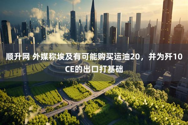 顺升网 外媒称埃及有可能购买运油20，并为歼10CE的出口打基础